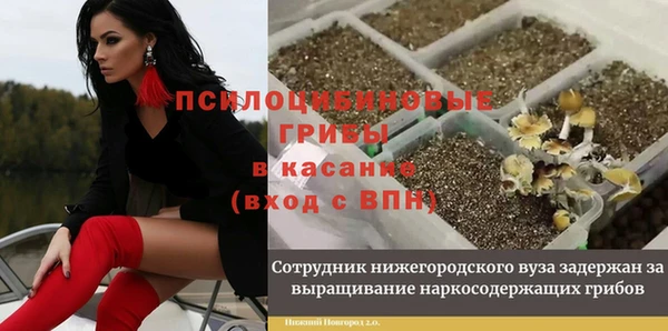 2c-b Алексеевка