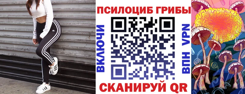 Псилоцибиновые грибы GOLDEN TEACHER  Сим 